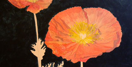 Poppy Field